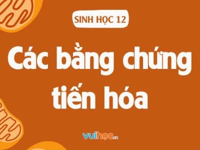 Bằng chứng sinh học phân tử: Minh chứng cho sự thống nhất của sự sống