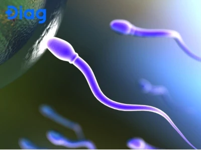 Bao nhiêu tuổi có tinh trùng? Yếu tố ảnh hưởng và giai đoạn phát triển