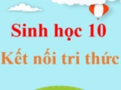 Các amino acid khác nhau ở những đặc điểm nào