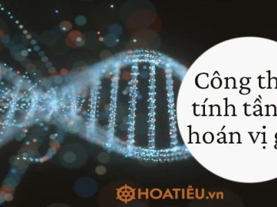 Cách Tính Tần Số Hoán Vị Gen Sinh Học 12 Dễ Hiểu Nhất