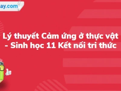 Cảm ứng ở thực vật là gì? Các hình thức và cơ chế hoạt động