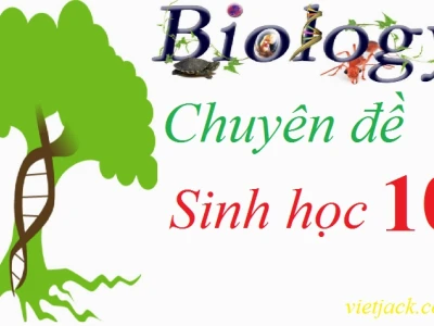 Cấu tạo và Chức năng của Protein: Khám phá Vai trò Thiết yếu trong Cơ thể