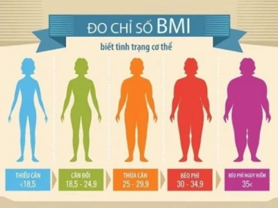 Chỉ Số BMI Người Việt Nam: Hướng Dẫn Tính Toán và Ý Nghĩa Sức Khỏe Năm 2026