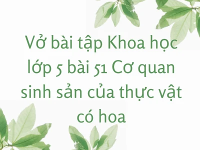 Cơ quan sinh sản của thực vật có hoa là gì và vai trò của chúng
