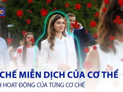 Cơ thể có 2 loại miễn dịch: Phân biệt và cơ chế hoạt động