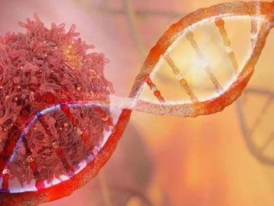 Codon là gì? Giải mã bộ ba quy định sự sống trong di truyền học