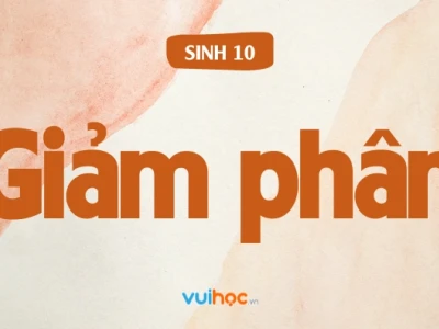 Đặc điểm của lần phân bào 2 trong giảm phân là gì?