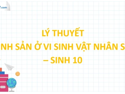 Đặc điểm sinh sản ở vi sinh vật nhân sơ
