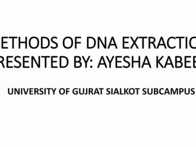 DNA Extraction: Quy Trình và Các Phương Pháp Hiện Đại Năm 2026