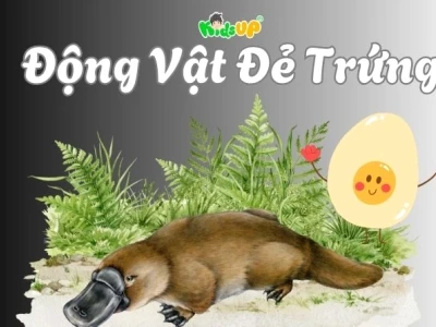 Động Vật Có Vú Đẻ Trứng Loài Nào? Khám Phá Sinh Vật Độc Đáo