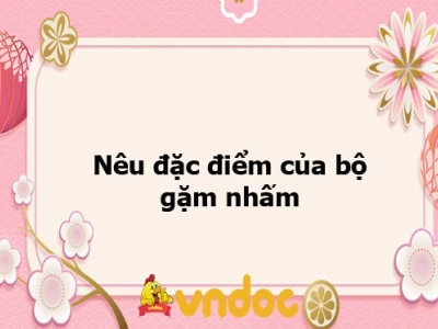 Động vật gặm nhấm: Khám phá thế giới đa dạng và vai trò trong tự nhiên