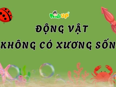 Động Vật Không Xương Sống Khám Phá Thế Giới Đa Dạng Và Bí Ẩn