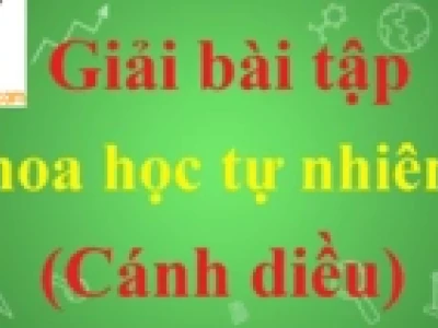 Động vật lưỡng cư là gì khám phá thế giới sinh vật độc đáo