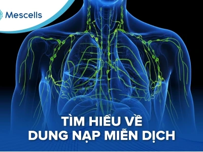 Dung nạp miễn dịch là gì? Vai trò và cơ chế bảo vệ cơ thể