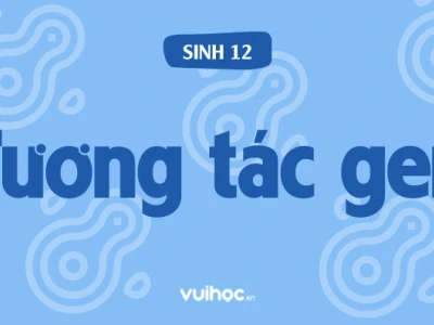 Gen không alen là gì? Phân tích tương tác và vai trò trong di truyền