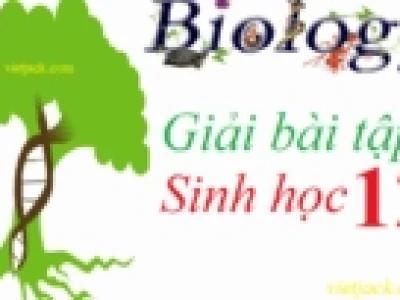 Giải mã cấu trúc siêu hiển vi của nhiễm sắc thể