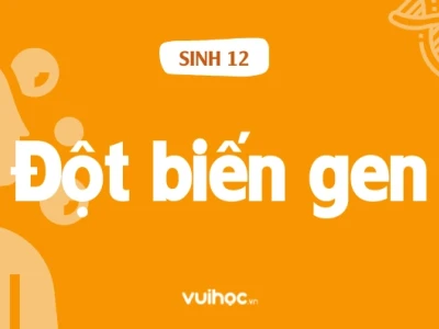 Hậu Quả Của Đột Biến Gen: Ảnh Hưởng Đến Sức Khỏe và Sự Sống