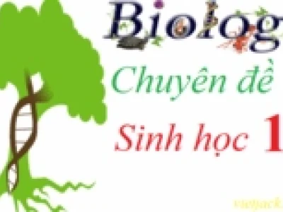Hô hấp ở thực vật là gì? Giải thích chi tiết và vai trò
