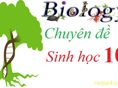 Khám phá 4 bậc cấu trúc của protein: Từ sơ khai đến phức tạp