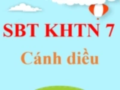 Khám phá 8 loại thực vật thủy sinh xử lý nước ô nhiễm hiệu quả