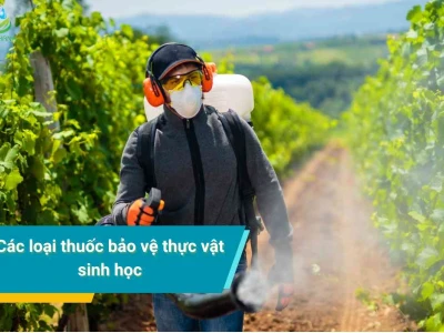 Khám phá các loại thuốc bảo vệ thực vật sinh học hiệu quả và bền vững