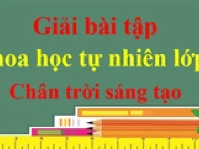 Khám phá các nhóm động vật: Phân loại, đặc điểm và nơi sống