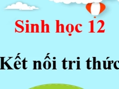 Khám phá chức năng của mRNA trong tổng hợp protein