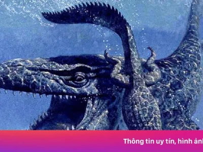Khám phá những loài động vật lớn nhất thế giới