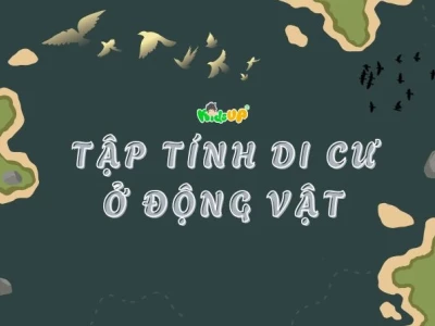 Khám phá tập tính di cư ở động vật: Hành trình sinh tồn kỳ diệu