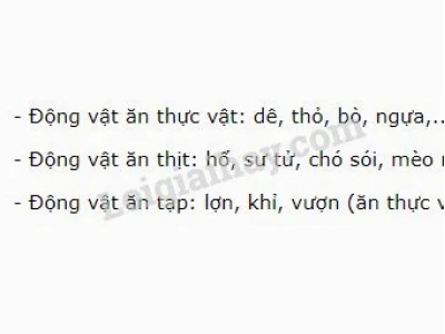 Khám phá thế giới động vật ăn thịt: Những loài săn mồi đáng sợ nhất