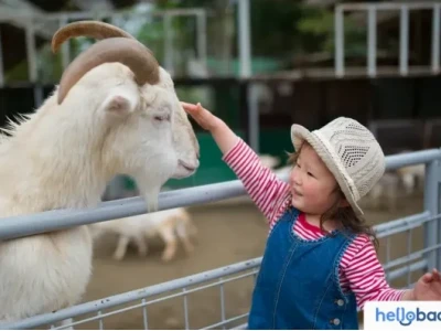Khám phá thế giới động vật: Đa dạng loài và môi trường sống