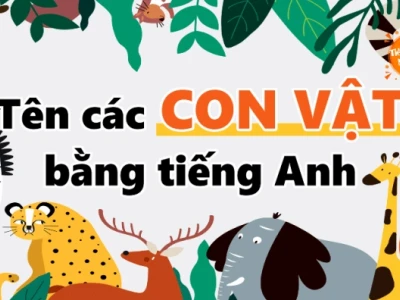 Khám phá Thế giới Động vật Hoang dã: Từ vựng Tiếng Anh cần biết