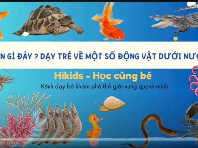 Khám phá thế giới động vật sống dưới nước đa dạng