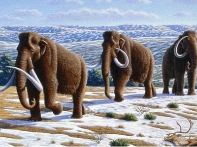 Khám Phá Thế Giới Động Vật Tuyệt Chủng: Lịch Sử, Nguyên Nhân và Hy Vọng Phục Hồi