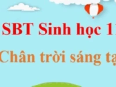 Khám phá Thí nghiệm Hô hấp ở Thực vật và Ý nghĩa Sinh học