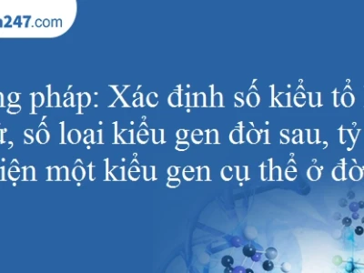 Kiểu Gen: Tổ Hợp Toàn Diện Các Gen Trong Cơ Thể