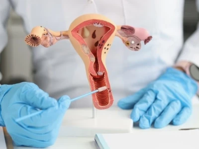 Ký hiệu nam nữ trong sinh học và ý nghĩa biểu tượng