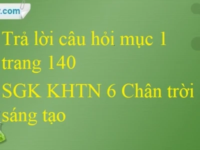Lạc đà và môi trường sống đặc trưng: Giải mã loài vật thích nghi với sa mạc