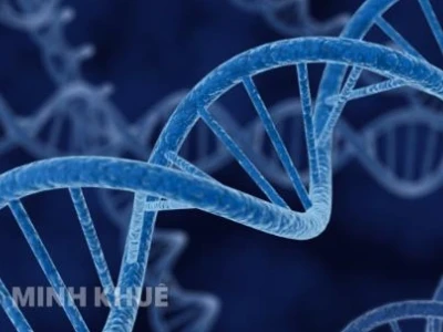 Liên kết gen là gì? Khám phá cơ sở tế bào học và ý nghĩa trong di truyền