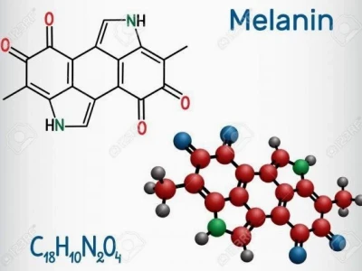 Melanin Có Trong Thực Phẩm Nào Giúp Da Sáng Khỏe?