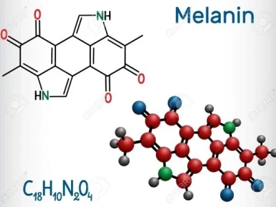Melanin là thuốc gì? Vai trò và cơ chế hình thành bạn cần biết