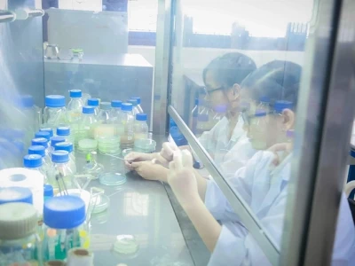 Ngành Bảo Vệ Thực Vật: Khái Niệm, Vai Trò và Cơ Hội Nghề Nghiệp