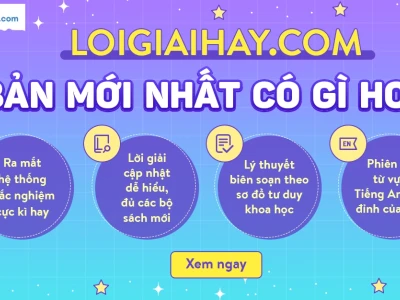 Người béo phì nên ăn thực phẩm nào để cải thiện sức khỏe?