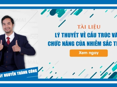 Nhiễm sắc thể: Cấu trúc, chức năng và vai trò thiết yếu trong di truyền