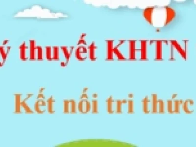 Nhiễm sắc thể sinh 9: Cấu trúc, chức năng và vai trò trong di truyền