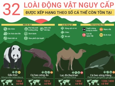 Những Loài Động Vật Có Nguy Cơ Tuyệt Chủng Ở Việt Nam