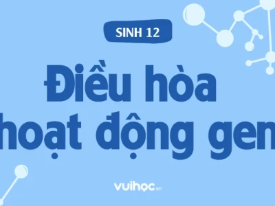 Nội dung chính của sự điều hòa hoạt động gen là gì?