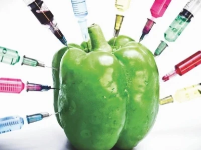 Non-GMO là gì? Giải mã tiêu chuẩn thực phẩm an toàn cho sức khỏe