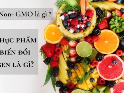 Non GMO là gì? Giải mã tiêu chuẩn thực phẩm không biến đổi gen