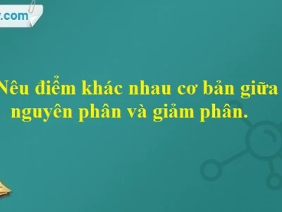 Phân biệt Nguyên phân và Giảm phân: Khác nhau cơ bản